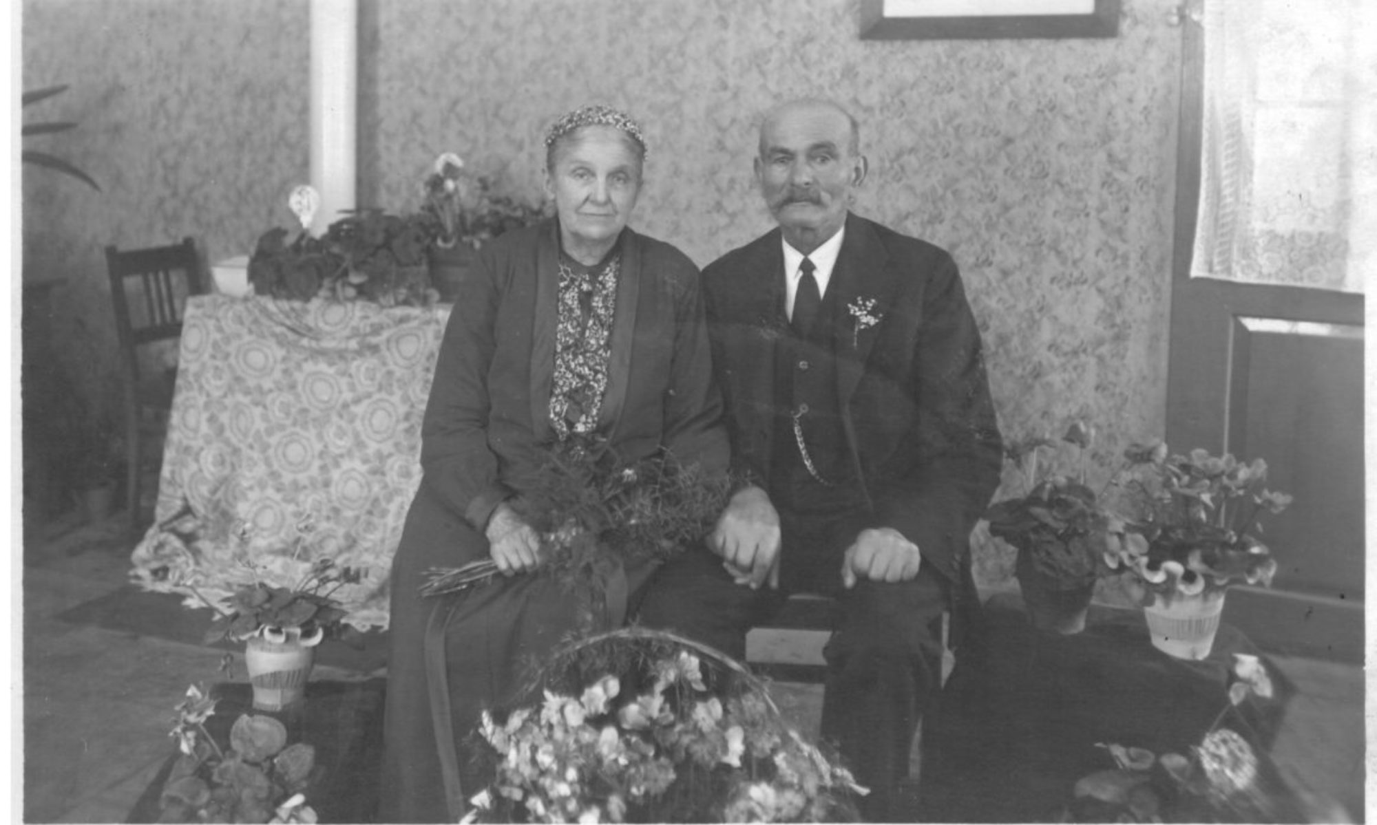 Die Geschichte meiner Familie -